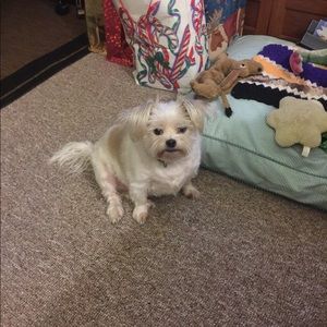 Meet your Posher, Penny